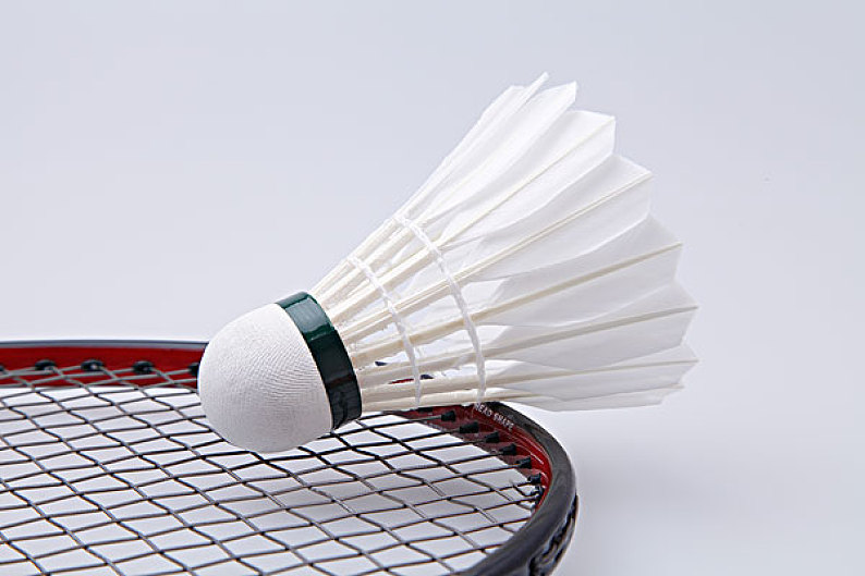 的世界里 的世界里