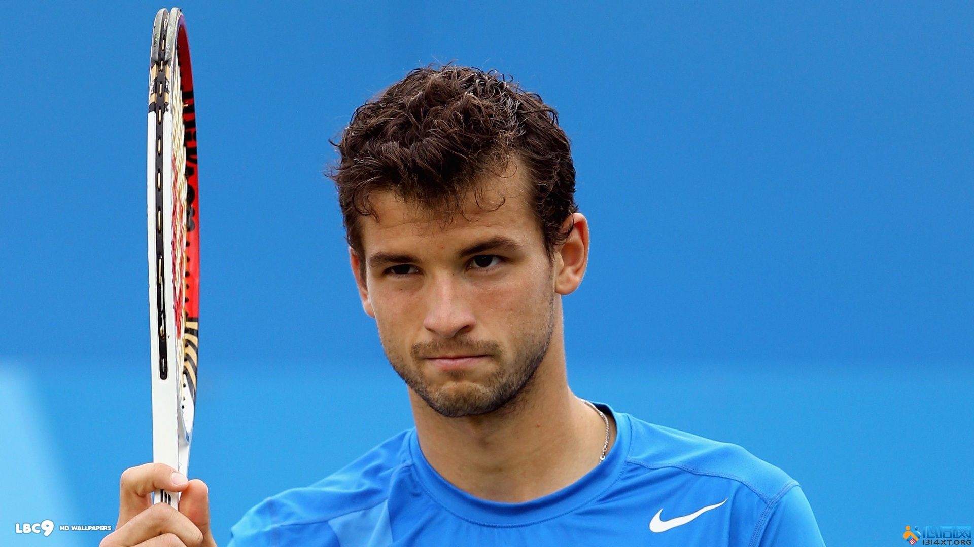 的情感卻又 的情感卻又